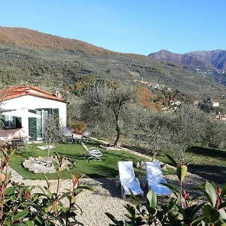 Gli Ulivi * Orosei