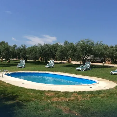 Gli Ulivi *