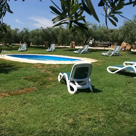 Apartment Gli Ulivi